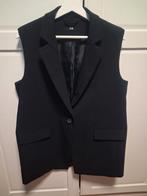 Vest, Vêtements | Femmes, Pulls & Gilets, Enlèvement ou Envoi, Porté, Taille 42/44 (L), Noir