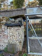 Brugse moefen te koop, Doe-het-zelf en Bouw, Ophalen, Gebruikt, Bakstenen