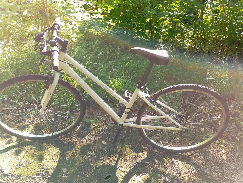 Tweelingfiets voor tieners, Ophalen