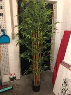 Kunstplant Bamboe, Ophalen, Bamboe
