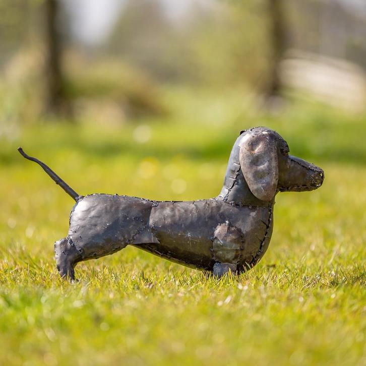 Beeld: Metalen teckel, Antiek en Kunst, Kunst | Beelden en Houtsnijwerken, Beeld, Metaal, Overige onderwerpen, 50 - 100 cm, Afrika