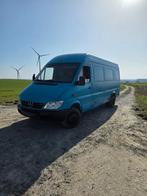 Sprinter 416, Animaux & Accessoires