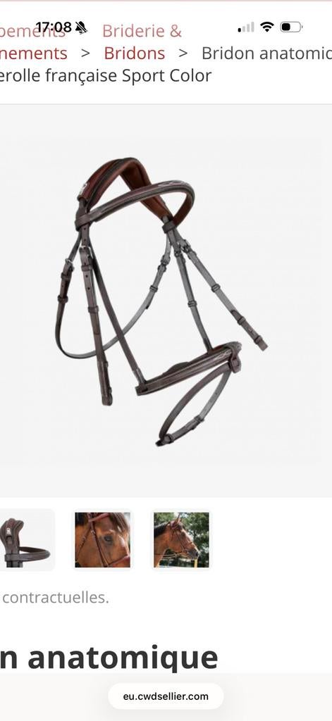 GEZOCHT Cwd hoofdstel donkerbruin maat 3, Dieren en Toebehoren, Ophalen, Zo goed als nieuw, Springen