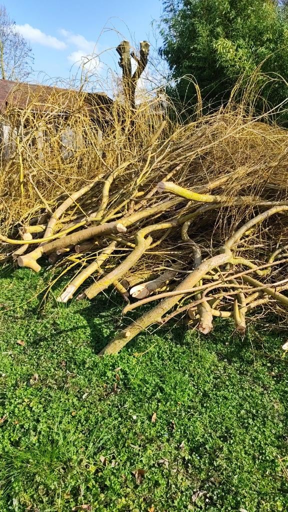 Gratis brandhout, Ophalen