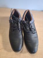 herenschoenen, Enlèvement ou Envoi, Neuf, Chaussures à lacets