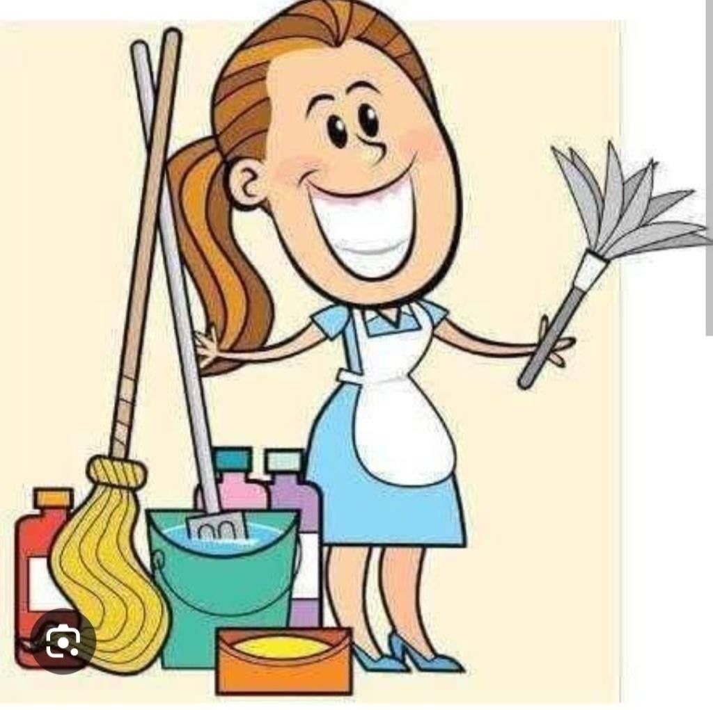 Schoonmaak van kantoor en huis, Diversen, Overige Diversen, Ophalen of Verzenden