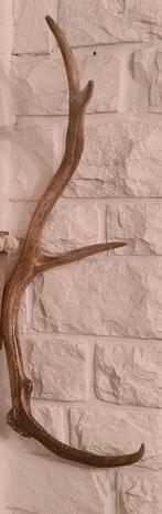 Ornement de bois d'animaux, Maison & Meubles, Enlèvement