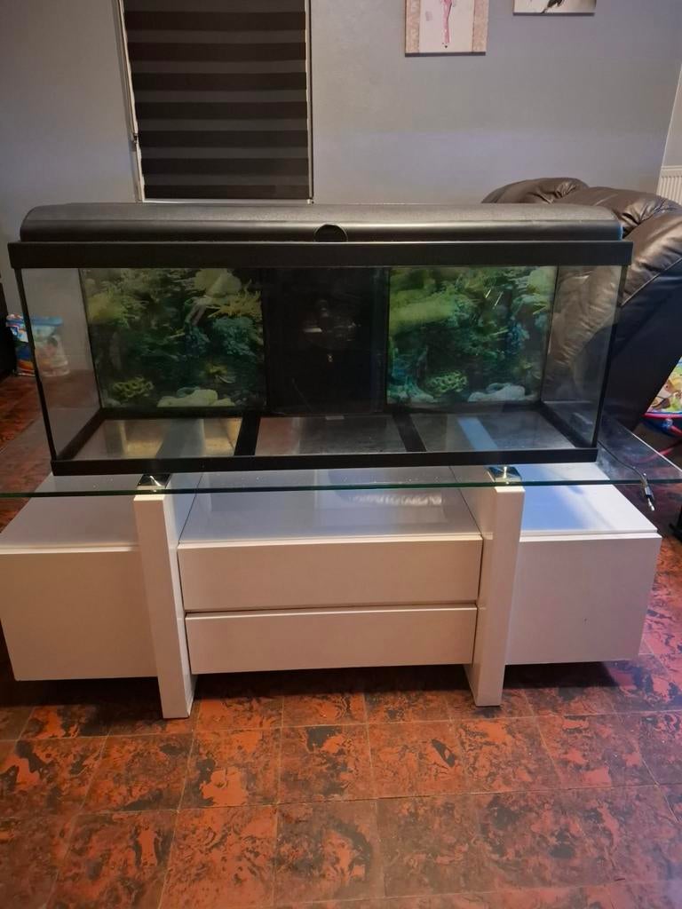 Aquarium, Enlèvement