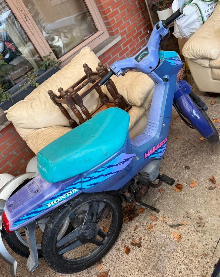 honda wallaroo klasse A, Fietsen en Brommers, Brommers | Honda, Gebruikt, Overige modellen, Klasse A (25 km/u), Ophalen