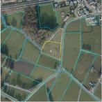 Te koop weide voor paarden, Dieren en Toebehoren, Stalling en Weidegang, Weidegang, 2 of 3 paarden of pony's