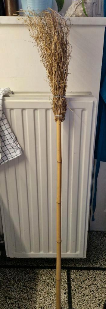 Halloween - heksen borstel beschikbaar voor biedingen