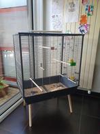 Vogelkooi, Dieren en Toebehoren, Vogels | Toebehoren, Ophalen, Nieuw, Kooi-accessoires