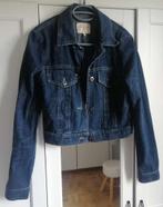 Knappe jeansvest Hampton Bays 36, Kleding | Dames, Ophalen of Verzenden