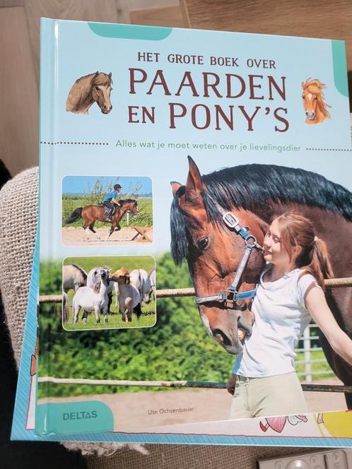 Ute OCHSENBAUER - Het grote boek over paarden en pony's, Boeken, Kinderboeken | Jeugd | onder 10 jaar, Zo goed als nieuw, Ophalen of Verzenden