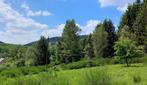 Terre riche en biodiversité sur le flanc sud près d'Amblève, Waimes, Ventes sans courtier, 1500 m² ou plus