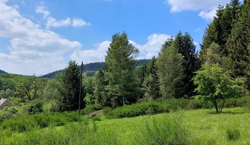 Terre riche en biodiversité sur le flanc sud près d'Amblève, Immo, Terrains & Terrains à bâtir, 1500 m² ou plus, Ventes sans courtier