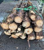 Goedkoop brandhout voor de snelle beslisser, Tuin en Terras, Brandhout, Ophalen, Stammen