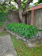 Tuin....GRATIS treinbils, Tuin en Terras, Ophalen, Gebruikt