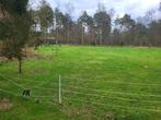 mooie weide te huur te Achel 4000m², Dieren en Toebehoren, Stalling en Weidegang