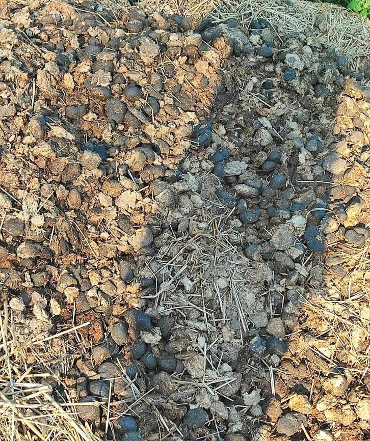 Bio paardenmest met stro – ideaal voor moestuin & tuin, Dieren en Toebehoren, Paarden en Pony's | Overige Paardenspullen, Ophalen