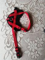 harnais pour petit chien, Ophalen, Nieuw