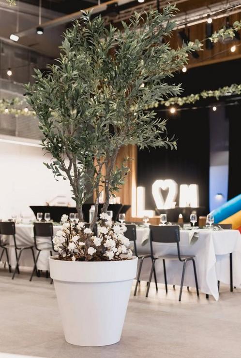 Grote kunst olijfboom, Tuin en Terras, Planten | Bomen, Olijfboom, Ophalen