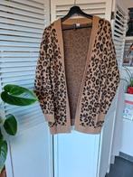 Lange vest maat M in goede staat, Ophalen of Verzenden, Gedragen, Maat 38/40 (M)