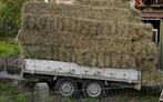 Hooi kleine pakken 100 stuks afhalen Haaltert, Dieren en Toebehoren, Dierenvoeding, Ophalen