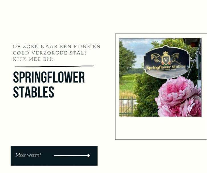 Op zoek naar een fijne, zorgzame plek voor jouw paard?, Dieren en Toebehoren, Stalling en Weidegang, Stalling, 4 paarden of pony's of meer