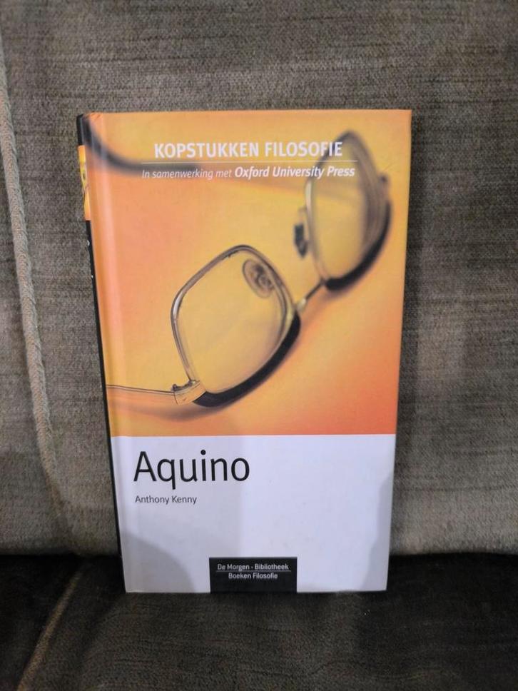 Kopstukken filosofie: Aquino, Boeken, Filosofie, Zo goed als nieuw, Ophalen