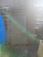 Roosters te koop, Dieren en Toebehoren