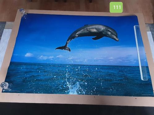 grote poster :  dieren, Verzamelen, Posters, Nieuw, Ophalen of Verzenden