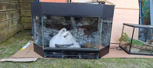 Terrariums te koop en allerlei materialen, Dieren en Toebehoren, Reptielen en Amfibieën | Toebehoren, Zo goed als nieuw, Ophalen