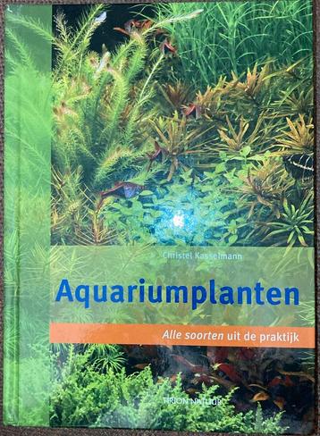 Aquariumplanten. Alle soorten uit de praktijk beschikbaar voor biedingen