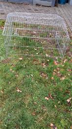 konijnenren, Dieren en Toebehoren, Ophalen, 60 tot 90 cm, Cavia, Ren