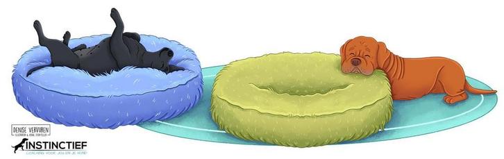 Ellis in Hondenland, Boeken, Kinderboeken | Kleuters, Nieuw, Voorleesboek, Ophalen of Verzenden