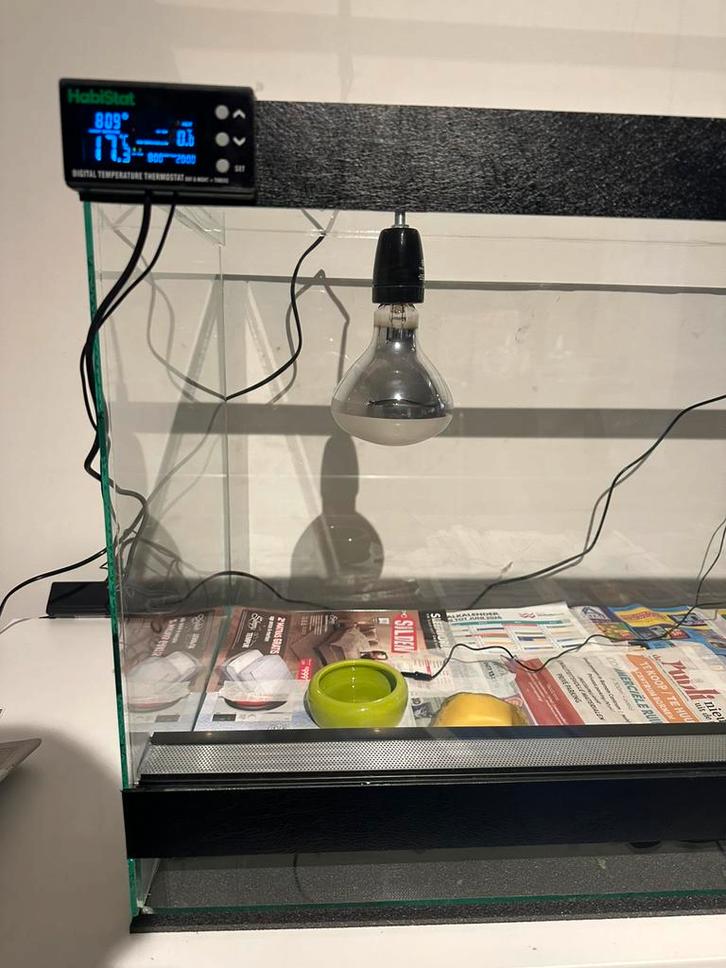 Nieuwe terrarium, Animaux & Accessoires, Reptiles & Amphibiens | Accessoires, Neuf, Terrarium ou Paludarium, Enlèvement