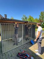 Honden ren buiten, Ophalen, Hondenkennel, 100 cm of meer, 110 cm of meer