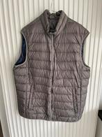 bodywarmer Pierre Cardin Paris, Kleding | Dames, Ophalen of Verzenden, Zo goed als nieuw, Maat 46/48 (XL) of groter