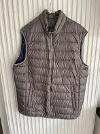 bodywarmer Pierre Cardin Paris, Vêtements | Femmes, Blousons sans Manches, Enlèvement ou Envoi, Comme neuf, Taille 46/48 (XL) ou plus grande