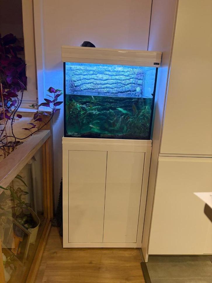 Aquarium complet avec meuble – bon état, Dieren en Toebehoren, Vissen | Aquaria en Toebehoren, Gebruikt, Leeg aquarium, Ophalen