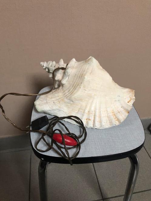 Lichtgevende schelp • vintage • lamp, Antiek en Kunst, Antiek | Verlichting, Ophalen
