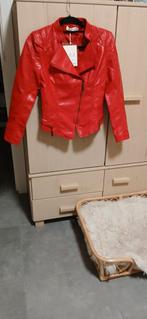Prachtige rode echt leren jacket  maat xl, Kleding | Dames, Jassen | Zomer, Alli EXPRES, Nieuw, Ophalen of Verzenden, Maat 36 (S)