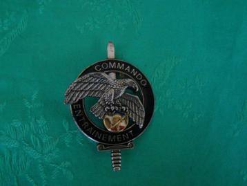 militaria, Enlèvement ou Envoi, Armée de terre, Emblème ou Badge