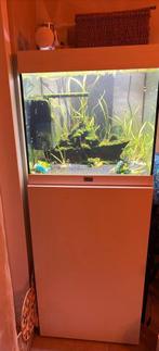 Aquatlantis Tower 120 + meubel, Dieren en Toebehoren, Ophalen, Zo goed als nieuw, Leeg aquarium