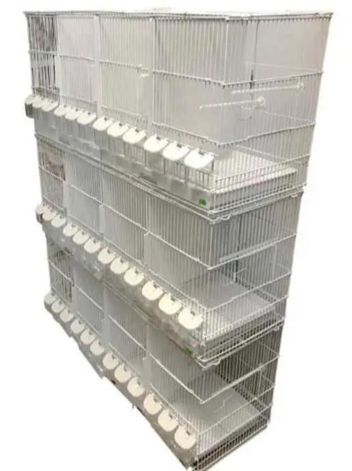 NOUVEAUTÉS Cages d'élevage en fil blanc 102 cm empilables, Animaux & Accessoires, Oiseaux | Cages & Volières, Neuf, Synthétique