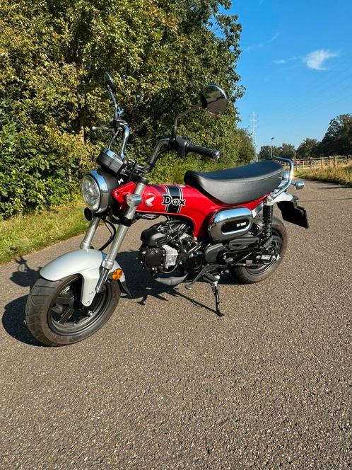 Honda DAX ST125, Motos, Motos | Honda, Particulier, Autre, jusqu'à 11 kW, 2 cylindres, Enlèvement