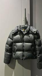 Doudoune pour enfants, Ralph Lauren, Ophalen, Nieuw, Grijs, Ralph Lauren