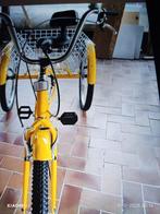 Driewieler fiets volwassenen, Fietsen en Brommers, Fietsen | Driewielfietsen, Ophalen of Verzenden