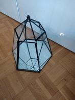 GRATIS planten terrarium - kweekkastje - serre, Ophalen, Minder dan 100 cm